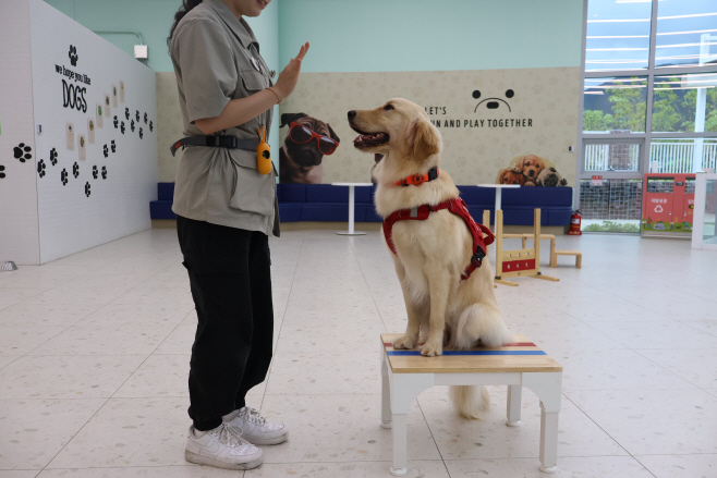 밀양선샤인테마파크_반려동물지원센터