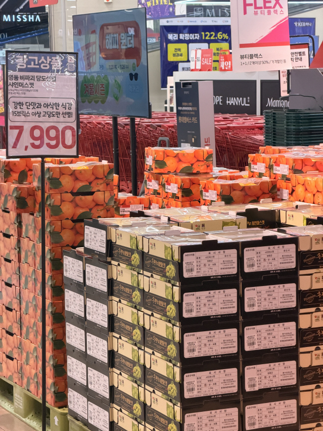 2. 영동군 샤인머스캣 판로확보에 힘쓰다 (2) (1)