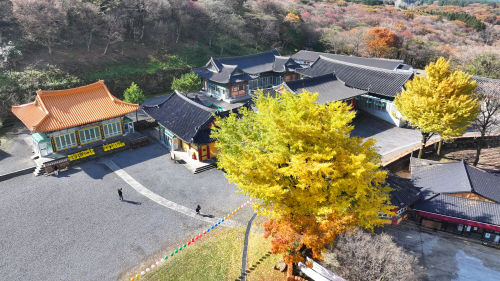 한라산 관음사의 가을<YONHAP NO-3081>