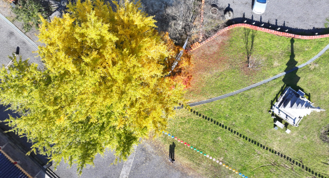 한라산 관음사의 가을<YONHAP NO-3084>