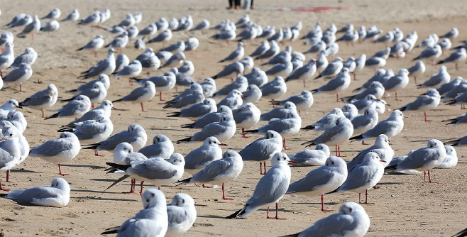 PYH2025112008500005100_P4