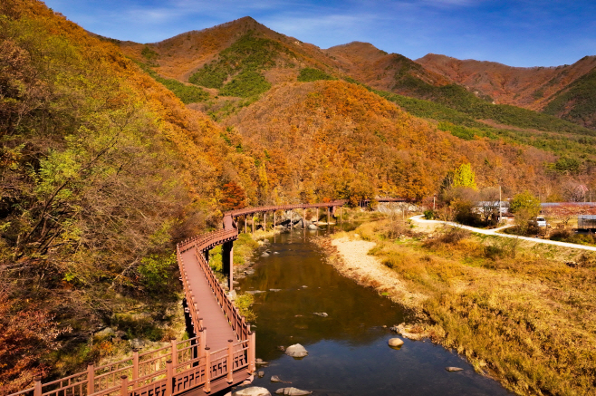 2. 영동군  월류봉 둘레길·금강둘레길… 사계절 걷기 좋은 명품 힐링 관광지로 주목 (4) (월류봉둘레길)