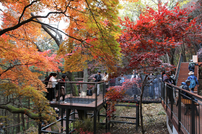 시민이용(모험놀이데크)