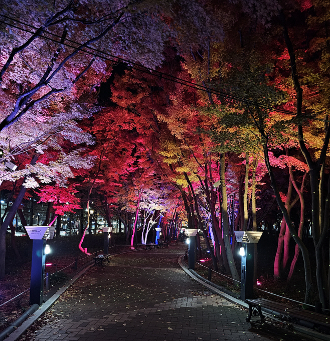 [붙임] 2024 국채보상공원 조명