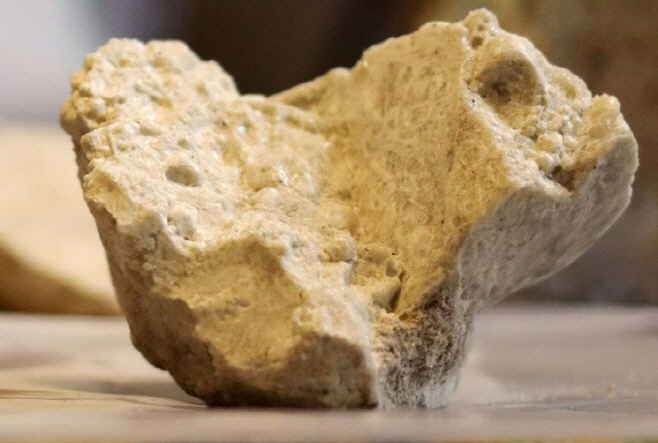 2025090201000246100013171