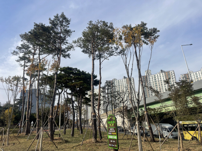 01.1 청주시, 도시숲 조성 2개소서 완료… 열섬완화 미세먼지 저감 기대. 사진(가마교차로 준공사진)