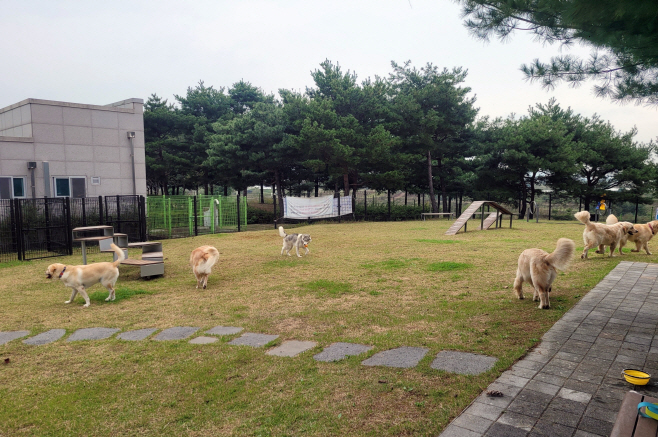 6 문암생태공원 반려동물 놀이터