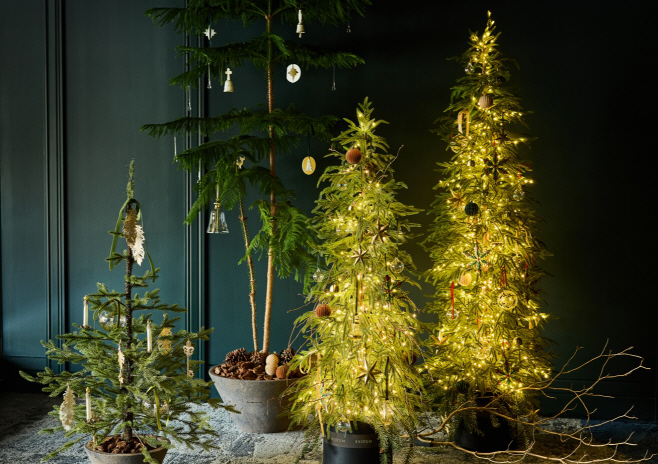 02. (좌) 유러피안 트리, (우) 내추럴 노엘 트리 (1)