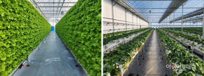 아산 스마트팜 사관학교