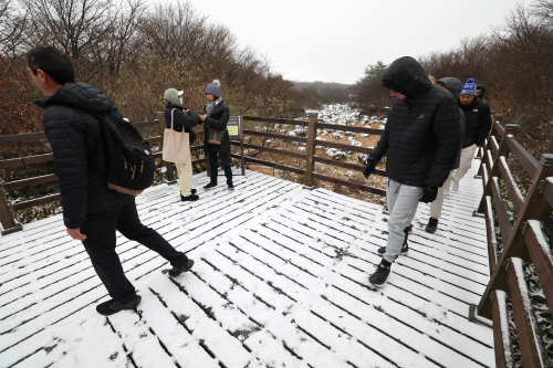 첫눈 내린 한라산 1100고지<YONHAP NO-1811>