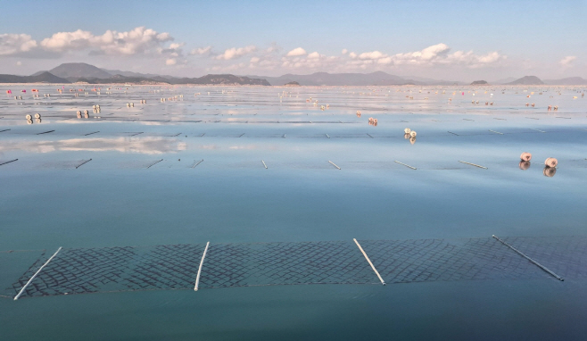 김 양식장 전경