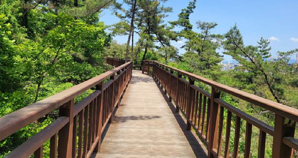 도 자체 첫 등산로·자전거길 광역도로명 부여