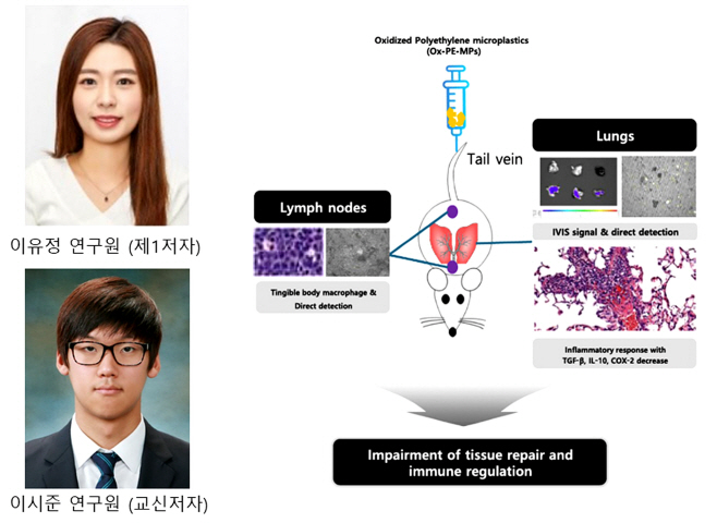 [붙임] 논문의 저자와 도식화한 연구과정 및 결과