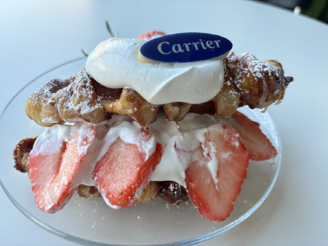 오텍캐리어 캐리인더시티