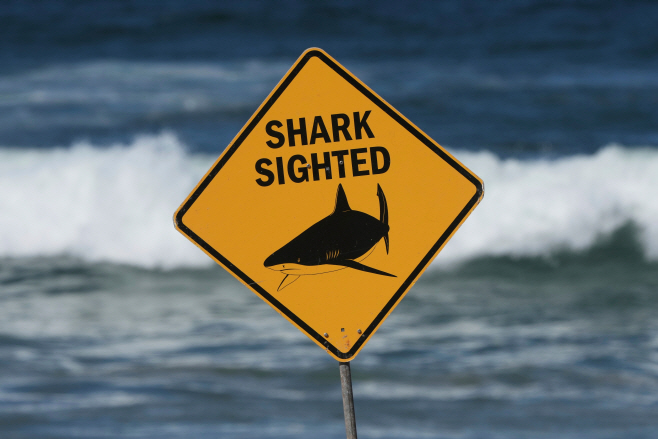 Australia Shark Attack <YONHAP NO-3223> (AP)