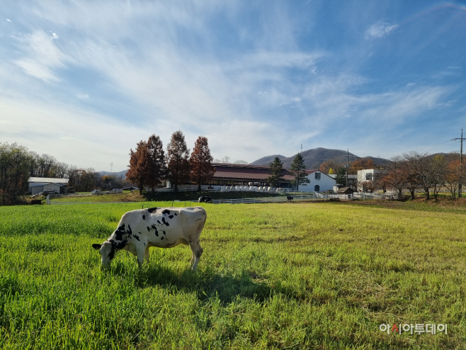 KakaoTalk_20251209_080611848