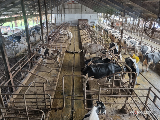 KakaoTalk_20251209_080611848_11