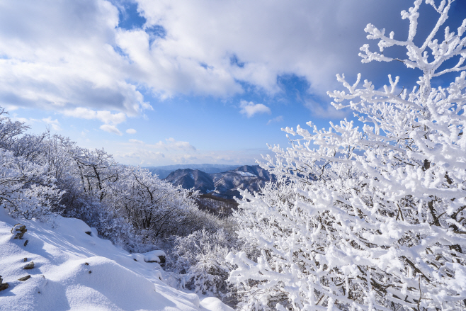하이원 하늘숲길 (9)