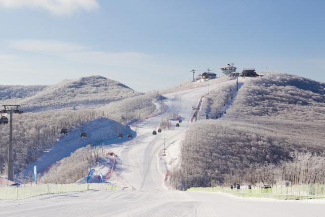 하이원스키장 (1)