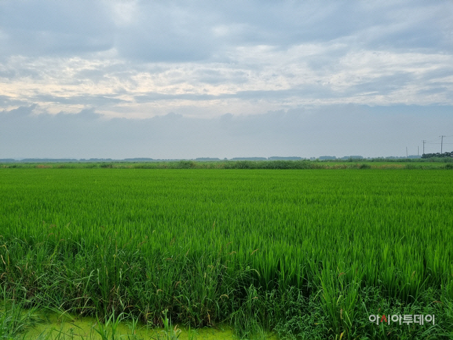 2025111901001705000100531