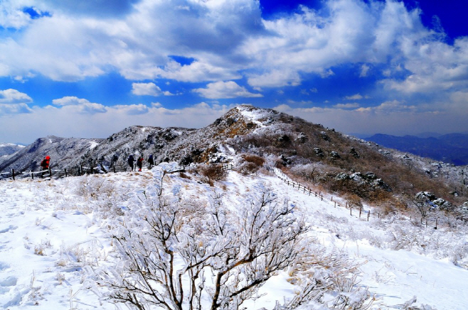 보도 1) 소백산 겨울(2)