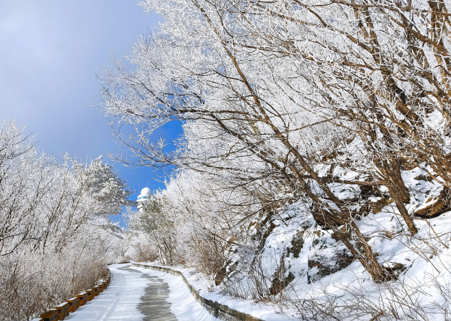 보도 1) 소백산 겨울(1)