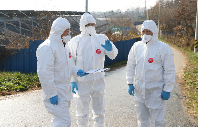 영암군 고병원성 AI 방역 총력1