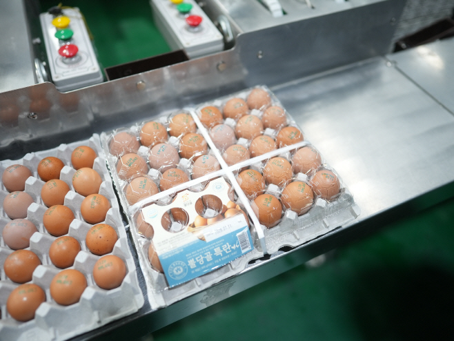 뿔당골 농장에서 생산한 계란(특란)