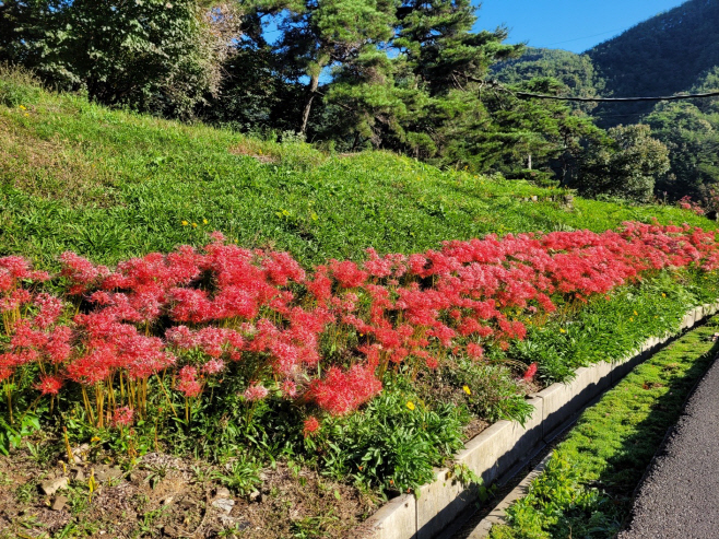 농장 내 화단 조성