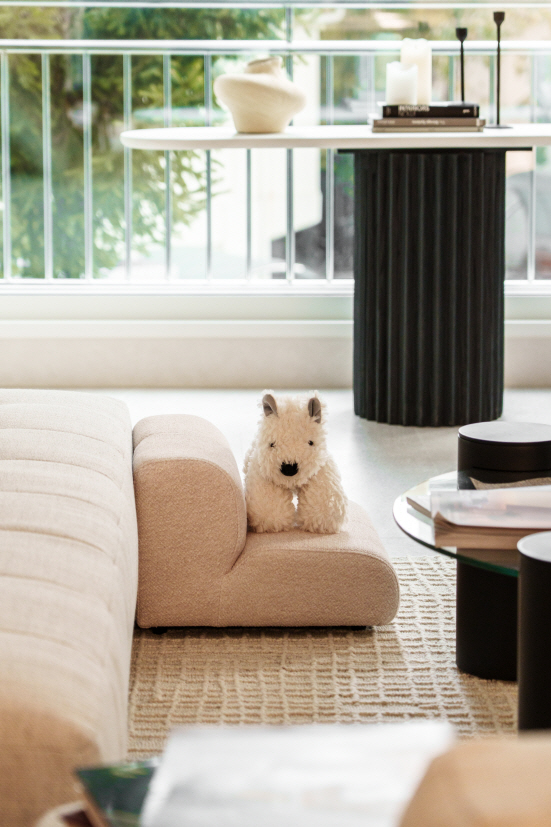 피케아 반려견 전용 스텝 '클라우드 스텝(Cloud Step)'