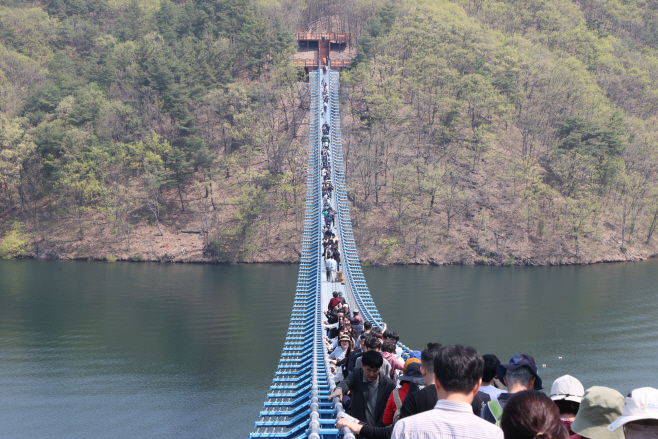 초평호 미르309 출렁다리 사진