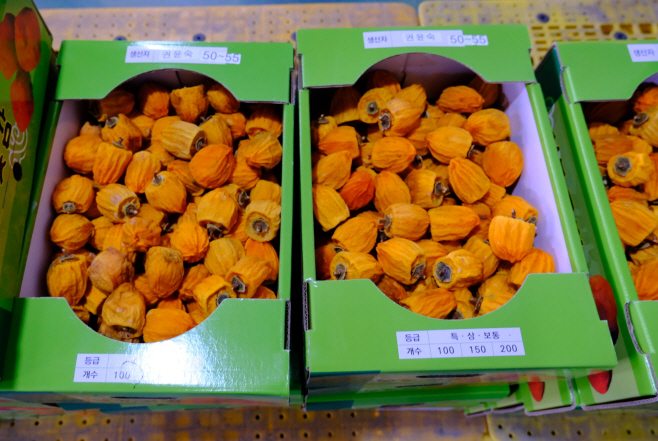 1. 감고을 영동 명품 곶감 출하요! (5)