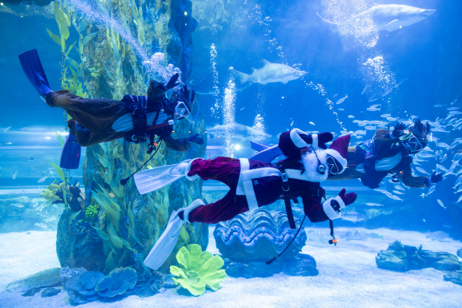 [롯데월드] (6) 크리스마스 특집 콘텐츠 다채