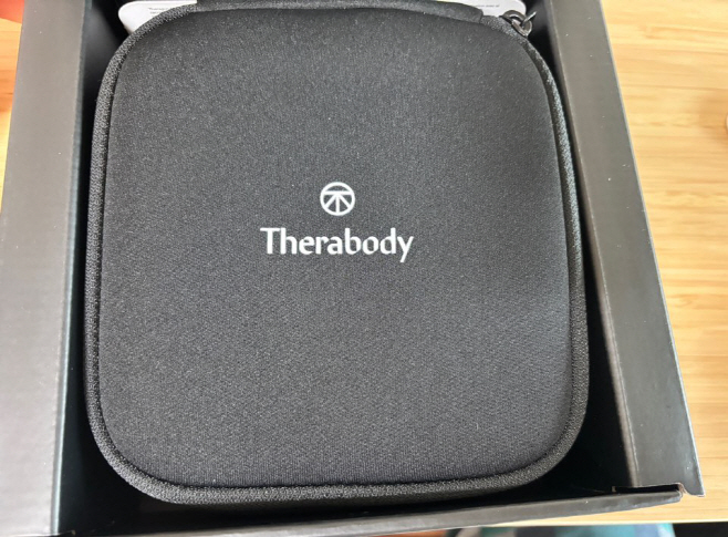 테라바디 테라건 미니 플러스