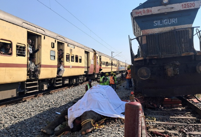 화면 캡처 2025-12-21 124951