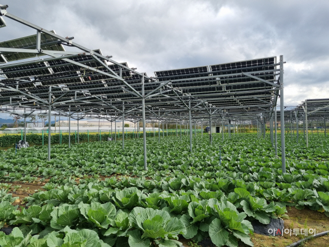 KakaoTalk_20251224_094222337