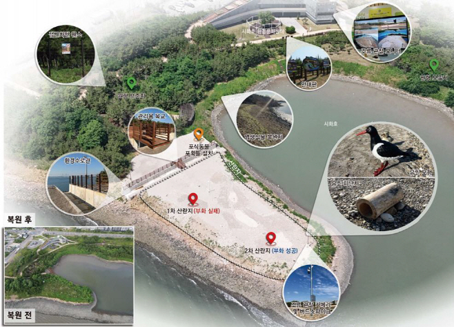 기획보도 사진2_철새도래지 서식처