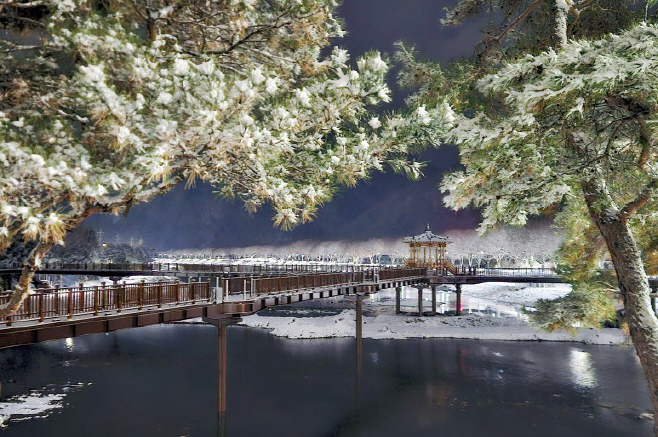 4일_저녁_괴산군_동진천_일대에_첫눈이_내려_에코브릿지가_설경_속에서_모습을_드러냈다.