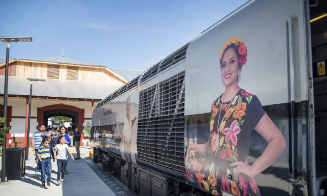 화면 캡처 2025-12-29 083154