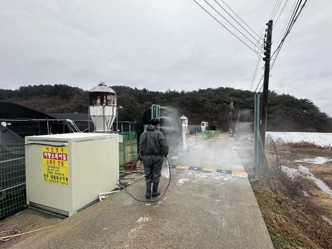 오리농가농장출입구2단계소독