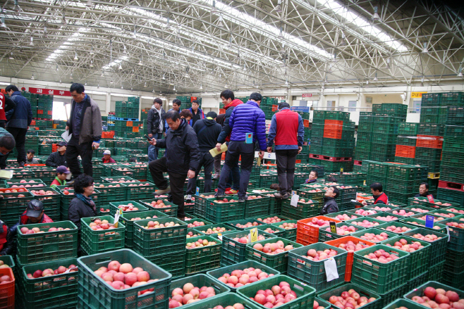 1229 안동시농수산물도매시장 신정 정기휴장 실시