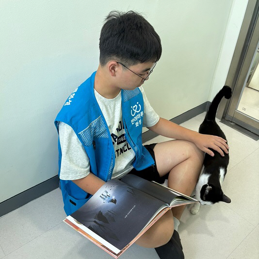 반려동물+교감+활동