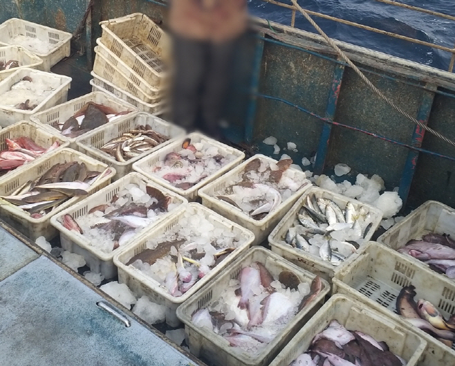 조업일지 부실기재 중국어선