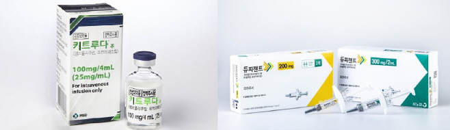 키트루다 듀피젠트