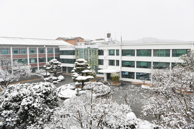 담양군청 겨울