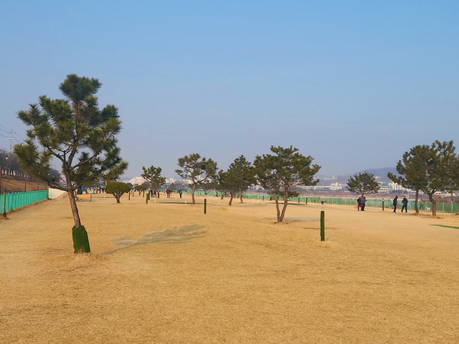 0106 안동시 2026년부터 파크골프장 시 직영 운영