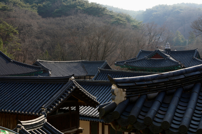 대웅보전 앞마당에서 본 풍경