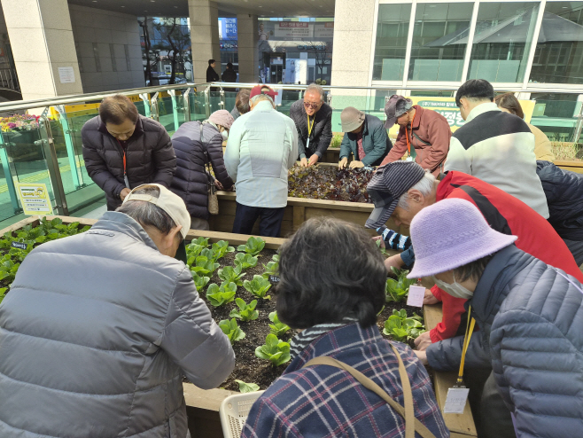 2.센터 앞 야외텃밭