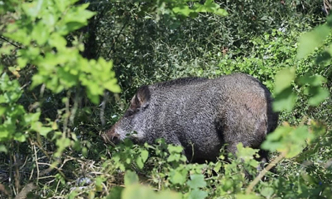 2024102801002435900150751