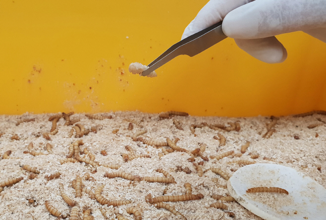 전남농업기술원